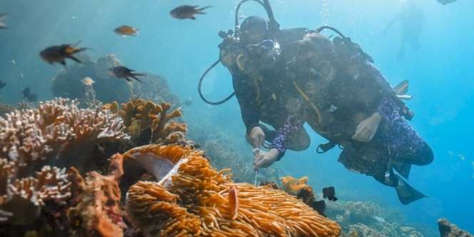 Kinerja Pariwisata Indonesia Raih Peringatkan ke-32 Dunia