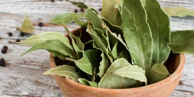Cara Menyimpan Rempah Daun Biar Tahan 1 Bulan