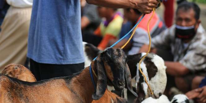 Hari Raya Idul Adha Tahun Ini Berpotensi Berbeda, Begini Penjelasan MUI