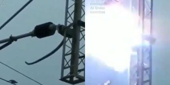 Akibat Terlalu Serakah Incar Burung di Kabel Listrik, Ular Raksasa Mati Mengenaskan Gosong Kesetrum