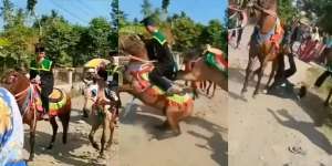 The Real Jaran Goyang: Wisudawan Diarak Keliling Kampung Naik Kuda, Eh Malah Bikin Trauma