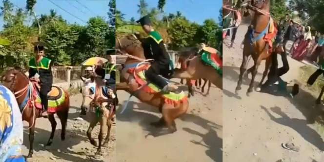 The Real Jaran Goyang: Wisudawan Diarak Keliling Kampung Naik Kuda, Eh Malah Bikin Trauma