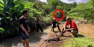 9 Potret Panji Petualang Temukan Biawak `Rasa` Komodo, Pemakan Sapi, Ukurannya Bikin Bergidik!