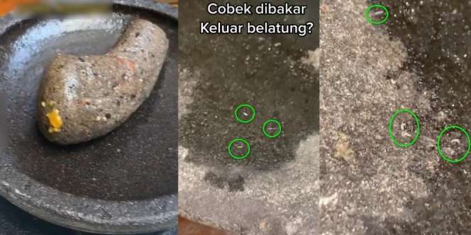 Viral Video Cobek Batu Dibakar Keluar Belatung, Chef Ini Ungkap Fakta di Baliknya