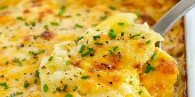 Cocok Buat Segala Usai, Lezatnya Potato Au Gratin Pas Disajikan untuk Keluarga
