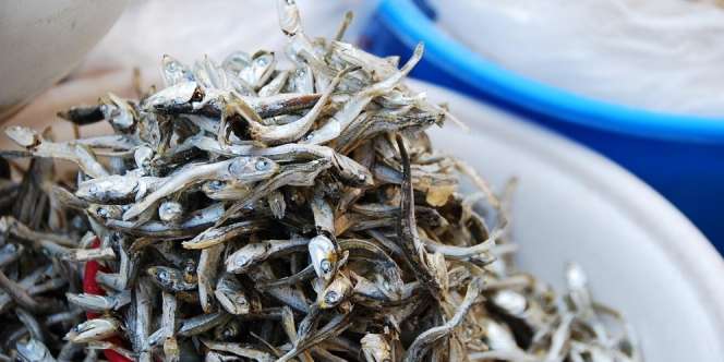 Jangan Dianggap Remeh, Inilah 7 Manfaat Makan Ikan Teri yang Istimewa bagi Kesehatan