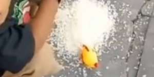 Video Polos Bocah Penuh Semangat Kasih Makan Ayam Mainan