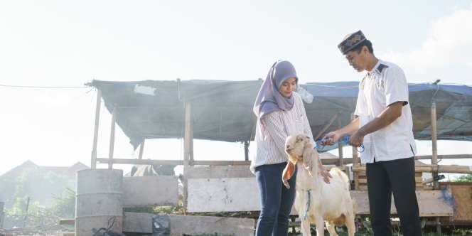 Darurat PMK, Dunia Belum Bebas Penyakit Mulut dan Kuku, Termasuk di India