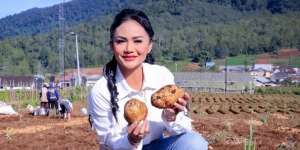 Penampilan Krisdayanti saat Ngantor Jadi Sorotan