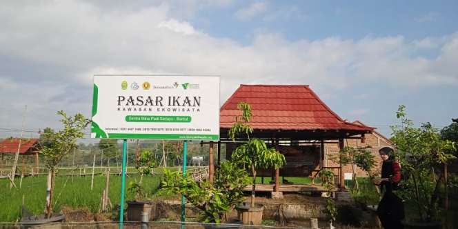 Mengintip Sawah 'Mina Padi' Dompet Dhuafa: Sekali Mendayung Dulang Dua Untung