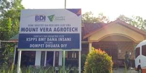 Cerita Bisnis Mount Vera Gunungkidul yang Kembangkan Lidah Buaya, Dulu Diragukan Kini Raup Omzet Rp30 Juta per Bulan