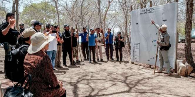 Wacana Tiket Terusan Wisatawan di TN Komodo, Rp3,75 Juta Setahun