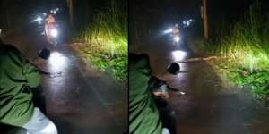Bikin Bergidik! Pesepeda Motor Lindas Ular Besar karena Hiraukan Peringatan