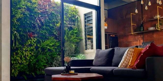 Tembok Disulap Jadi Taman Vertikal Mungil, Rumah Jadi Lebih Adem
