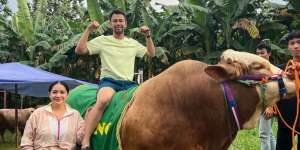 Wow! Raffi Ahmad Borong 20 Sapi dan 10 Kambing Buat Kurban, Beratnya Sampai 1,3 Ton
