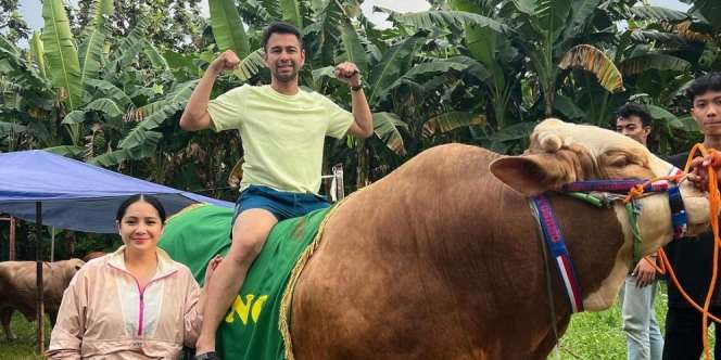 Wow! Raffi Ahmad Borong 20 Sapi dan 10 Kambing Buat Kurban, Beratnya Sampai 1,3 Ton