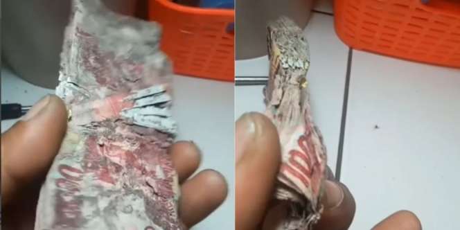 Bikin Nyesek! Segepok Uang Rp100 Ribu Rusak sampai Harus Disusun Bak Puzzle: Sakit Tapi Tak Berdarah