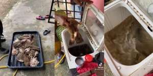 Viral Cara Bersihkan Jeroan Sapi Kurban Pakai Mesin Cuci, 30 Menit Langsung Bersih!