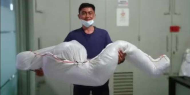 Viral, Paket Menyerupai Tubuh Manusia, Ternyata Ini Isinya