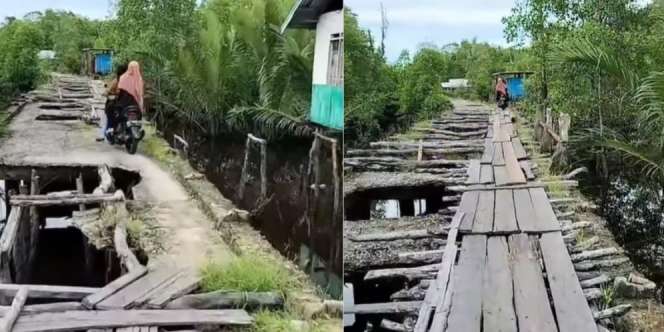 Viral Jembatan 'Sakaratul Maut' Penuh Lubang Raksasa di Riau, Sekali Salah Langkah Auto Beda Alam