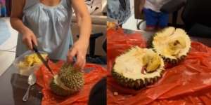 Belah Durian Langsung Syok Setelah Terbuka, Ada Bonus Tak Terduga yang Bikin Mual dan Muntah di Dalamnya