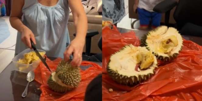 Belah Durian Langsung Syok Setelah Terbuka, Ada Bonus Tak Terduga yang Bikin Mual dan Muntah di Dalamnya