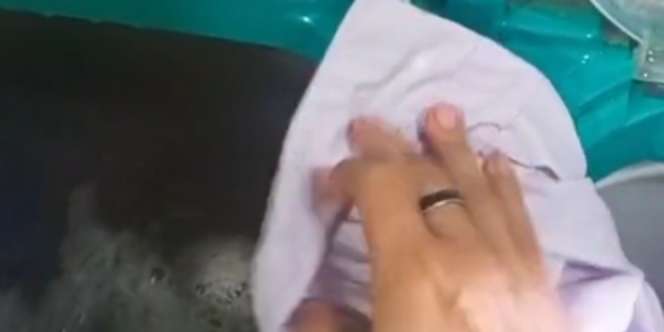 Banyak yang Belum Tahu, Ternyata Ini Fungsi Sekat di Antara Mesin Cuci 2 Tabung