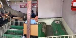 Konsep Ekstrem Restoran Dibangun di Tanah Kuburan, Pengunjung Makan Bersanding Nisan