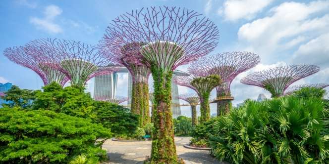 9 Kebun Raya Terbaik di Dunia, Bisa Jadi Destinasi Liburan Kamu
