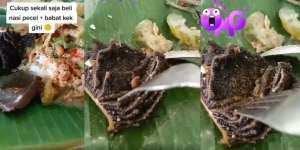 Makan Nasi Pecel Babat Rekomendasi Teman, Baru Satu Gigitan Sudah Mual dan Muntah, Ternyata Babatnya Masih Banyak Kotoran Sapinya
