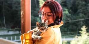 Doa Mencari Kucing yang Hilang dan Hukum Memeliharanya Menurut Islam