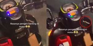 Pengendara Sampai Gemetar! Ular Muncul di Laci Sepeda Motor, Sembunyi Sepanjang Perjalanan Cikampek-Cikarang