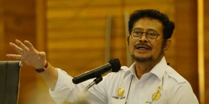 Menteri Pertanian Sebut Harga Mi Instan Akan Naik Sampai 3 Kali Lipat, Siap-Siap!