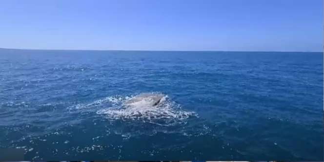 Lagi Asyik Jala Ikan, Nelayan Temukan 'Kotak Besi Misterius' Terapung di Tengah Lautan