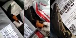 Asyik Sortir Paket, Kurir Kaget Campur Geram Temukan Biawak Hidup: 'Pakai COD Lagi'