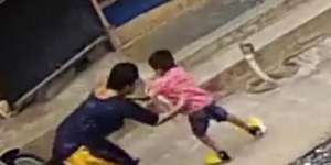 Detik-Detik Menegangkan Aksi Ibu Selamatkan Anak yang Nyaris Disambar Ular King Kobra Ini