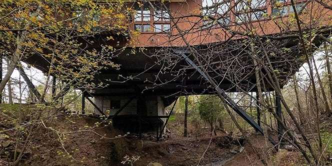 Bentuk Unik Rumah ala Jembatan di Tengah Hutan
