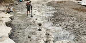 Imbas Kekeringan, Jejak Dinosaurus 113 Juta Tahun Lalu Muncul Kembali 