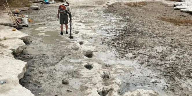 Imbas Kekeringan, Jejak Dinosaurus 113 Juta Tahun Lalu Muncul Kembali 