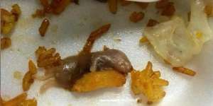 Enak-enak Makan Nasi Goreng, Eh Lihat Benda Menjijikkan dan Bikin Mual di Suapan Terakhir: Anak Tikus?