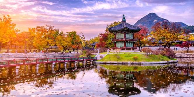 Tips Traveling Murah ke Korea Selatan, Pengalaman Memuaskan Tanpa Takut Kantong Jebol