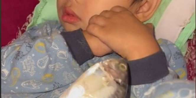 Bikin Senyum, Bocah Peluk Ikan Sampai Tidur Pulas