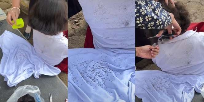 Merinding! Murid Garuk-Garuk Terus Selama Pelajaran, Begitu Disisir Bu Guru Kutunya Rontok Semua Seperti Pasir