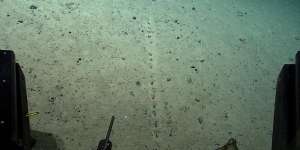Deretan Lubang Kecil di Kedalaman Laut Ini Bikin Para Ilmuwan Bingung, Asal Muasalnya Masih Misteri