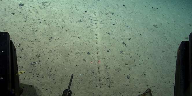 Deretan Lubang Kecil di Kedalaman Laut Ini Bikin Para Ilmuwan Bingung, Asal Muasalnya Masih Misteri
