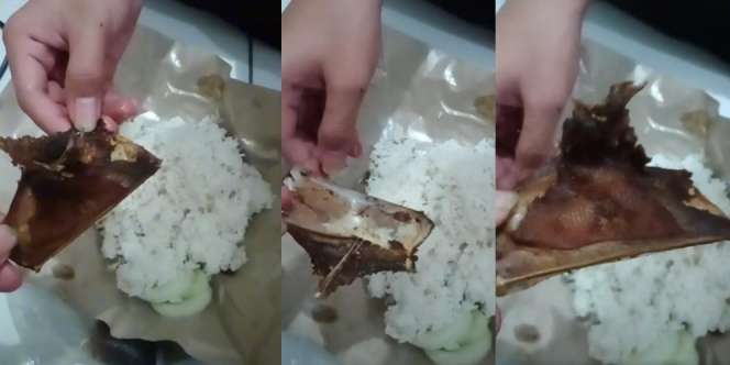Ngakak! Beli Nasi Bebek Harga Rp25 Ribu, Cuma Dapat Sebiji Tulang + Nasi Sebakul, Netizen: 'Itu yang Versi Lite Ngab'