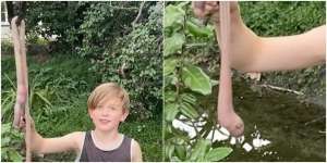 Langka! Bocah Ini Kaget Temukan Cacing Tanah Raksasa Sepanjang Hampir Satu Meter, Mirip Ular