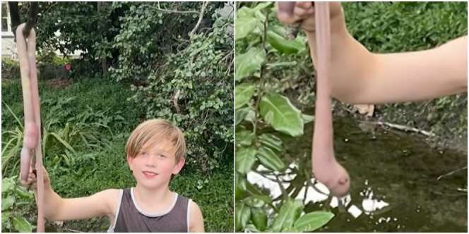 Langka! Bocah Ini Kaget Temukan Cacing Tanah Raksasa Sepanjang Hampir Satu Meter, Mirip Ular