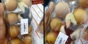Beli Telur Kaget Bukan Main karena Ada Anak Ayam di Dalam Kemasan Plastik, Netizen Berpikir Keras: Bagaimana Bisa Masuk?