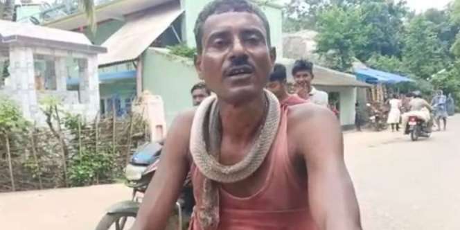 Kesal Dipatuk Kobra, Pria Ini Gigit Balik Ular hingga Mati